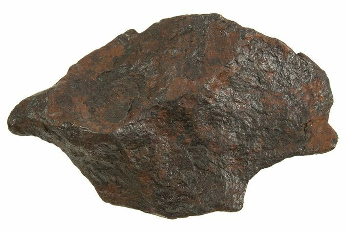 Canyon Diablo Iron Meteorite ( g) - Arizona #335922